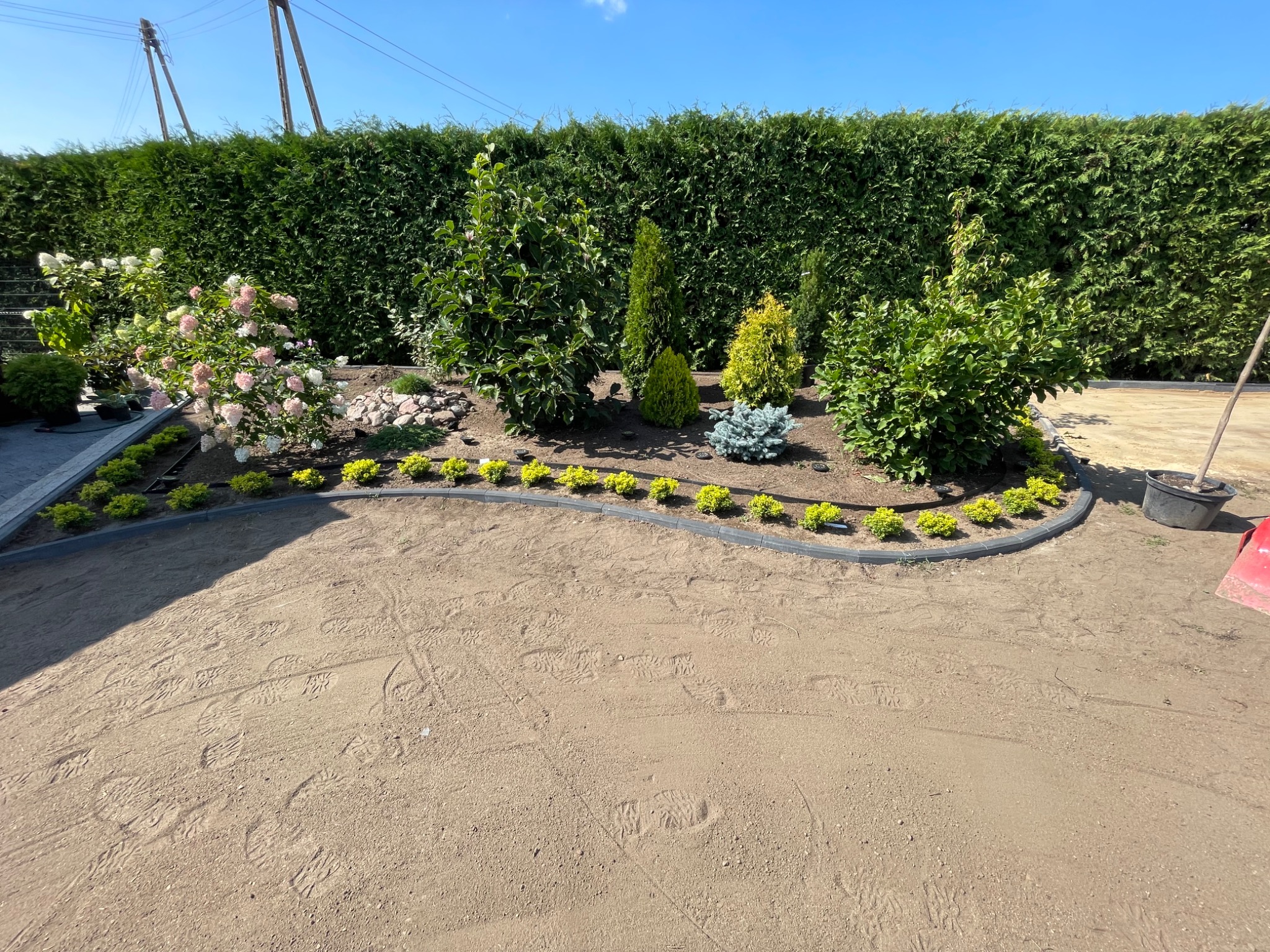 Przygotowany teren pod trawnik z nasadzeniami ozdobnych krzewów i kwiatów, obrzeże z kostki, wysoki żywopłot w tle.