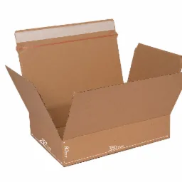 Rozłożone, brązowe pudełko kartonowe z widocznymi wymiarami 250mm x 80mm x 350mm i paskiem klejącym, przygotowane do złożenia.