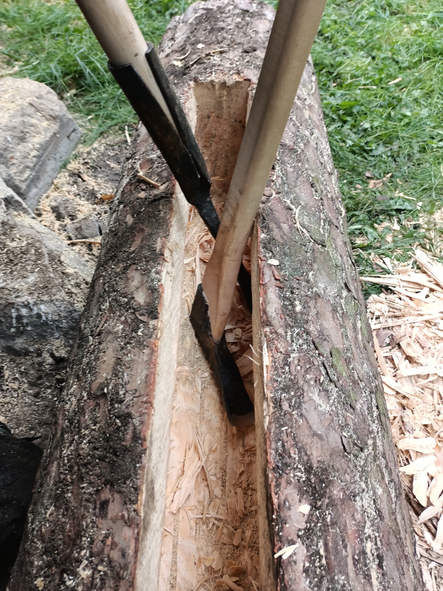 Uzupełnienie pasji pszczelarza to ? Zostałam bartnikiem...