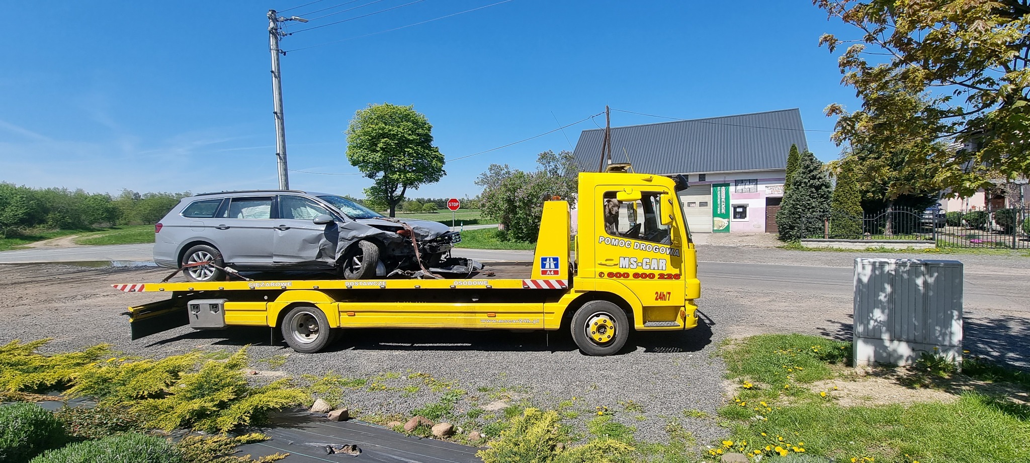 Żółta laweta MS-CAR z uszkodzonym szarym kombi Volkswagen Passat na platformie, widok z boku na tle wiejskiej drogi z budynkami i zielenią, w kabinie lawety widoczny pies.