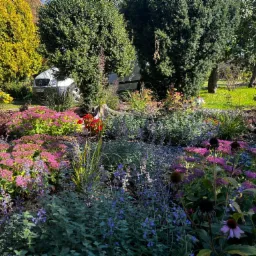 Kwietnik z różnorodnymi roślinami kwitnącymi w odcieniach różu, fioletu i czerwieni, z drzewami i zaparkowanym srebrnym vanem w tle.