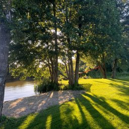 SADZIMYTO - Grzegorz Malinowski - Słoneczny brzeg rzeki z drzewami rzucającymi długie cienie na trawie. W tle widoczne trzciny i czerwona lina zawieszona między drzewami.