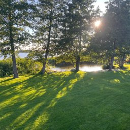 SADZIMYTO - Grzegorz Malinowski - Zadbany trawnik w słoneczny dzień, z widoczną kosiarką w prawym dolnym rogu. W tle drzewa i fragment jeziora, promienie słońca przebijają przez korony drzew.