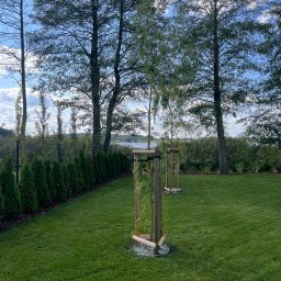 Sadzenie drzew i krzewów Ostróda