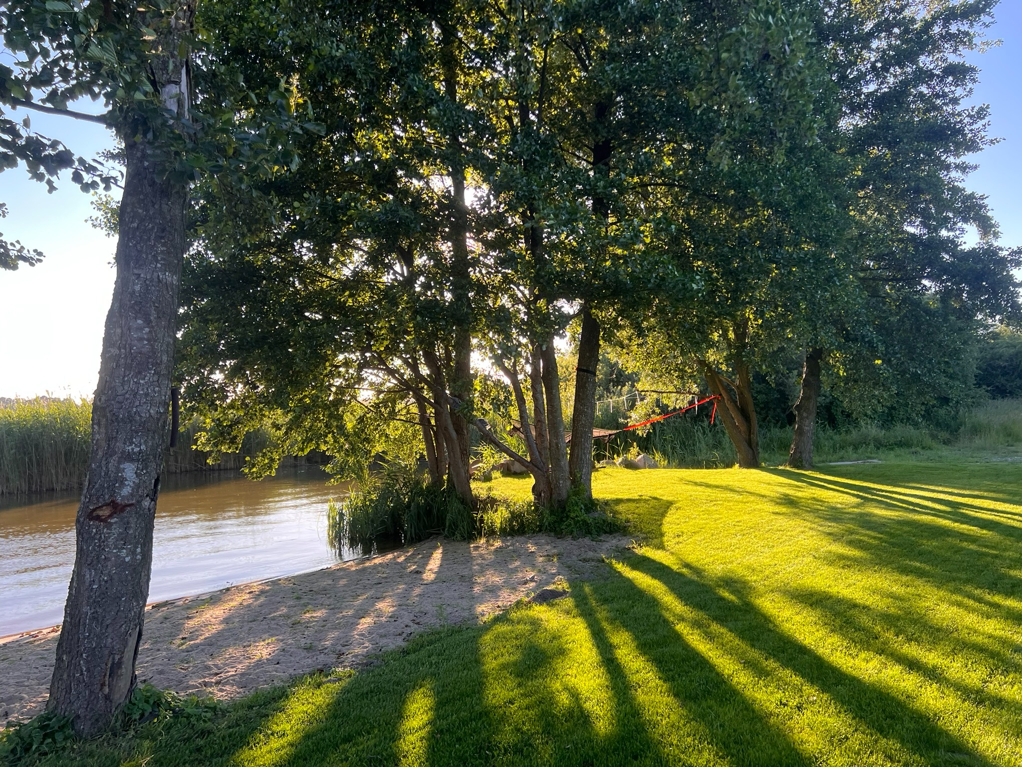 Słoneczny brzeg rzeki z drzewami rzucającymi długie cienie na trawie. W tle widoczne trzciny i czerwona lina zawieszona między drzewami.
