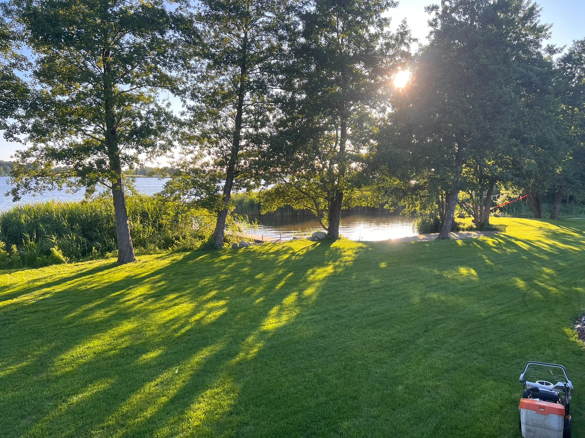 Zadbany trawnik w słoneczny dzień, z widoczną kosiarką w prawym dolnym rogu. W tle drzewa i fragment jeziora, promienie słońca przebijają przez korony drzew.