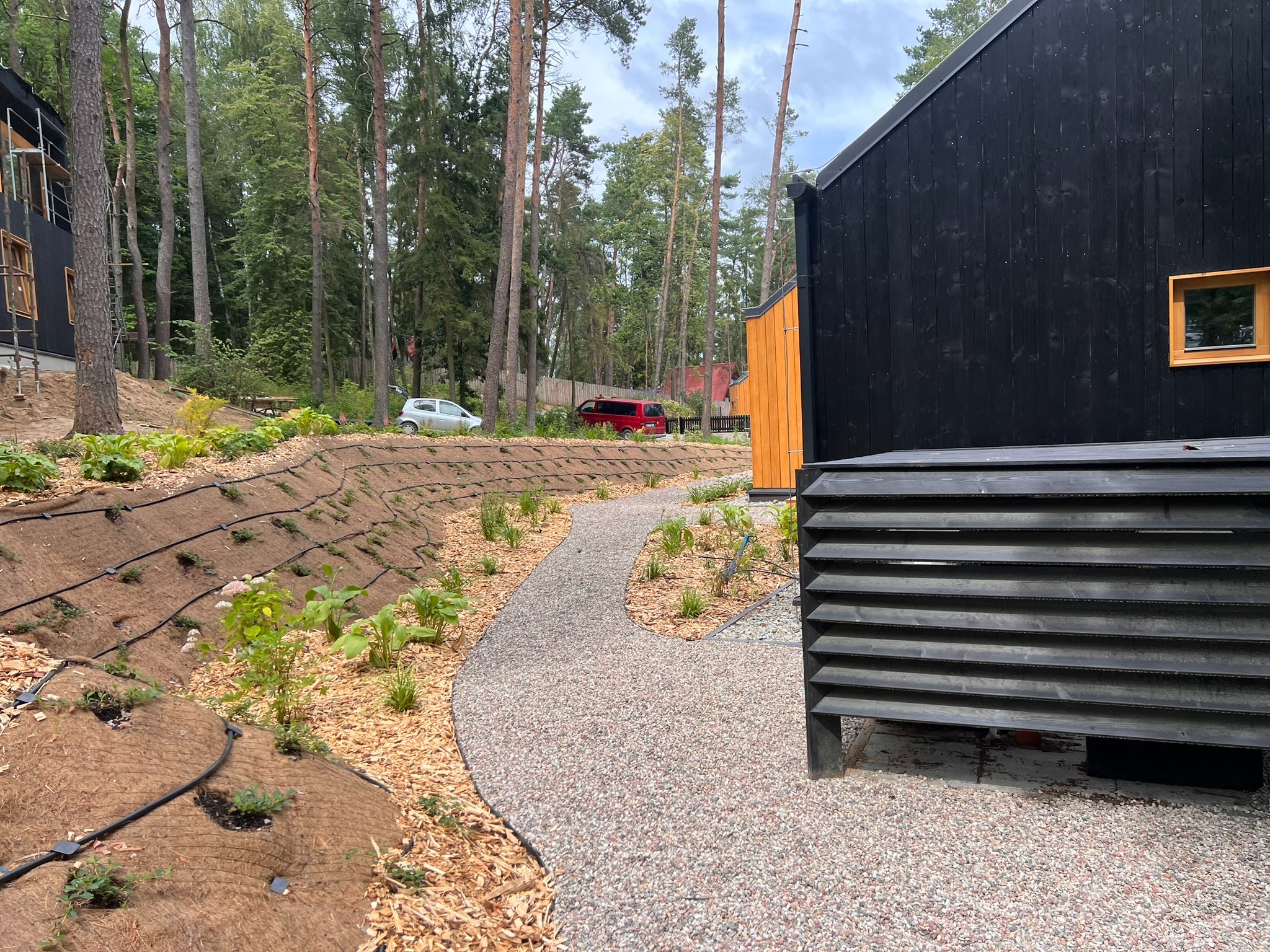 Ścieżka z drobnego żwiru wijąca się przez nowo założony ogród z roślinami i systemem nawadniania na zboczu, obok nowoczesnego, czarnego budynku.