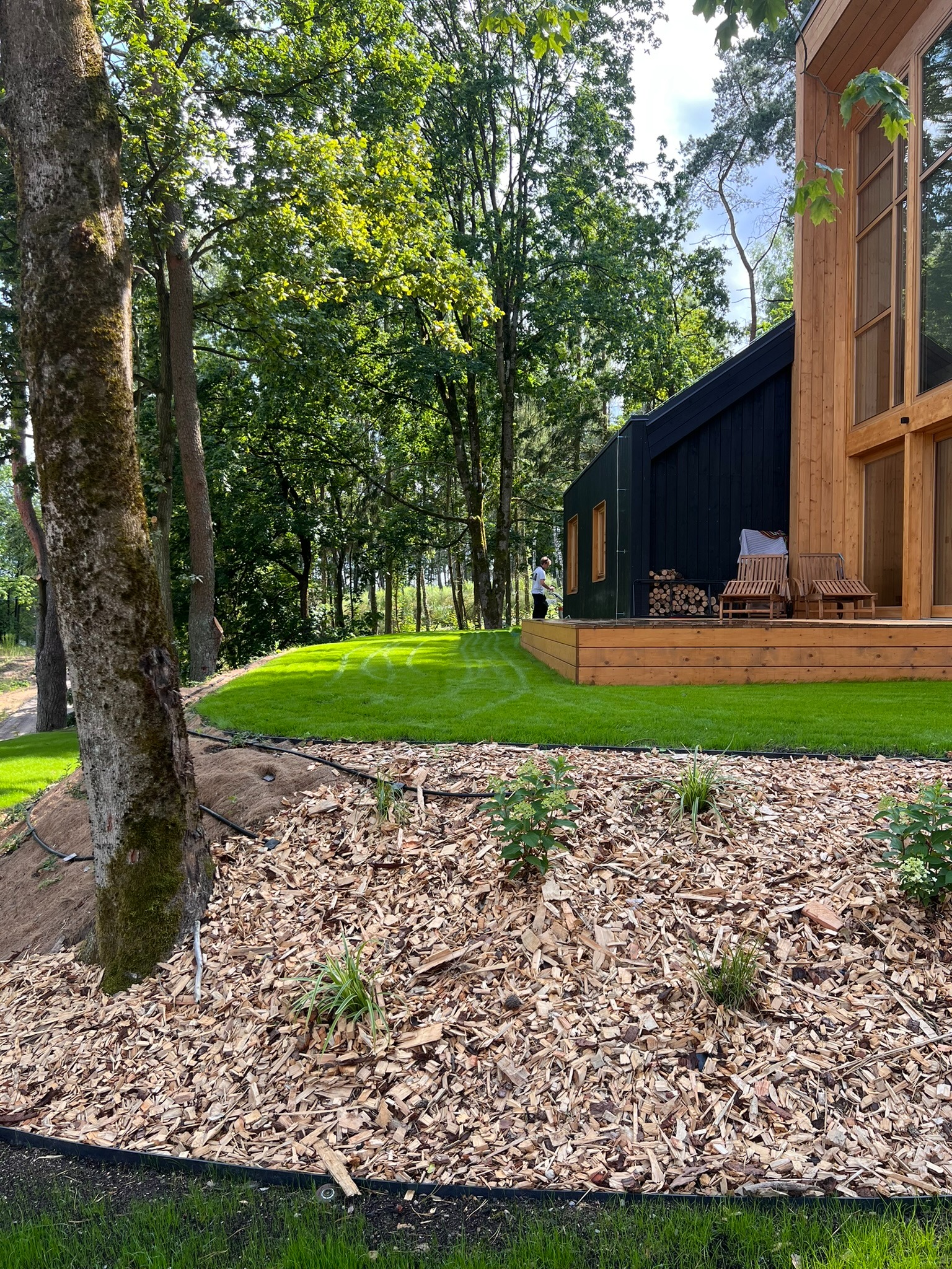 Nowoczesny ogród z czarnym domem, świeżo skoszoną trawą w paski i rabatą wysypaną korą. Widoczny system nawadniania i drzewa w tle.
