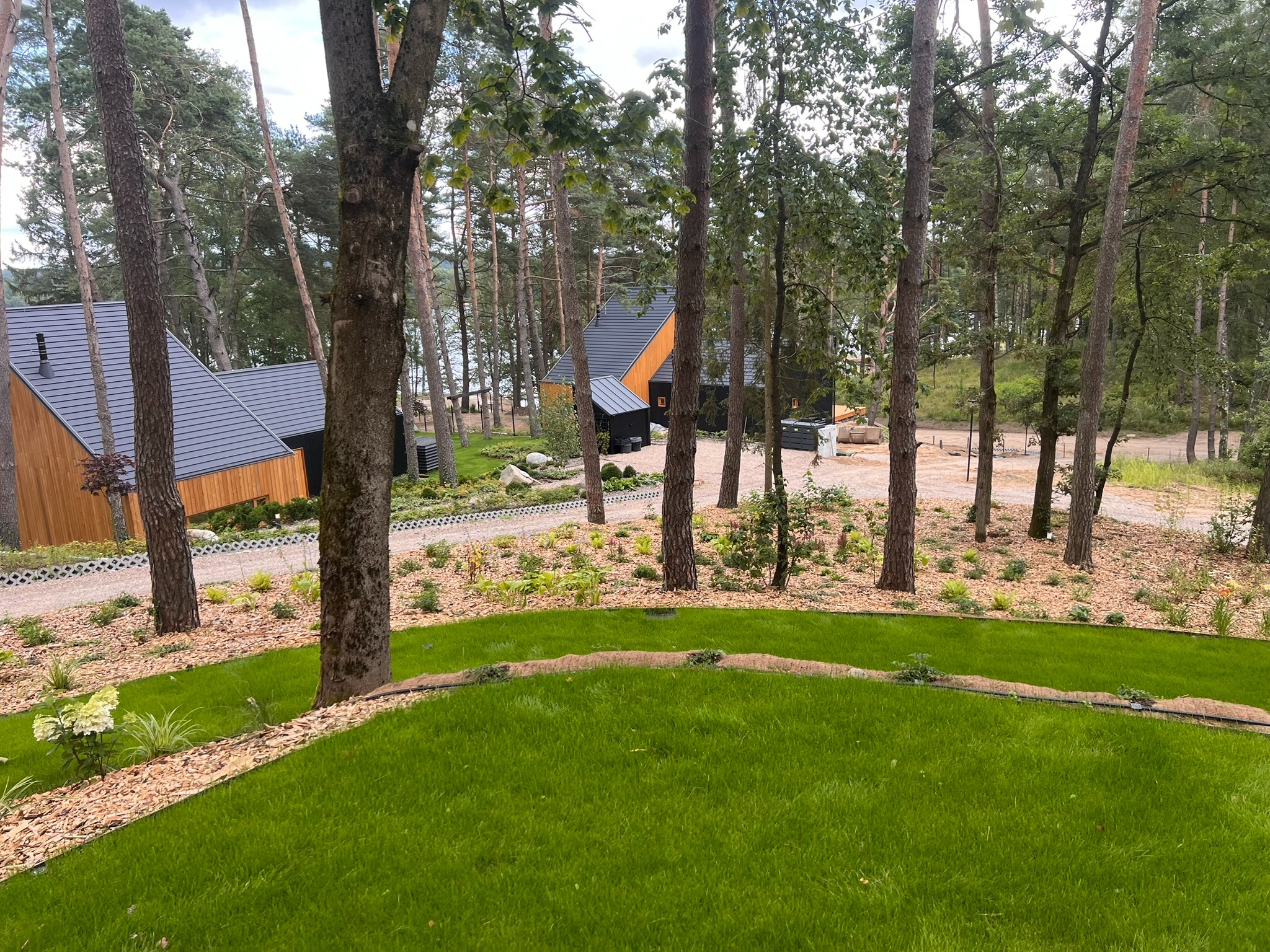 Zadbany trawnik z obrzeżami z kory drzewnej, w tle nowoczesne domy w leśnej scenerii. Widoczne drzewa i roślinność, tworzące naturalny krajobraz.