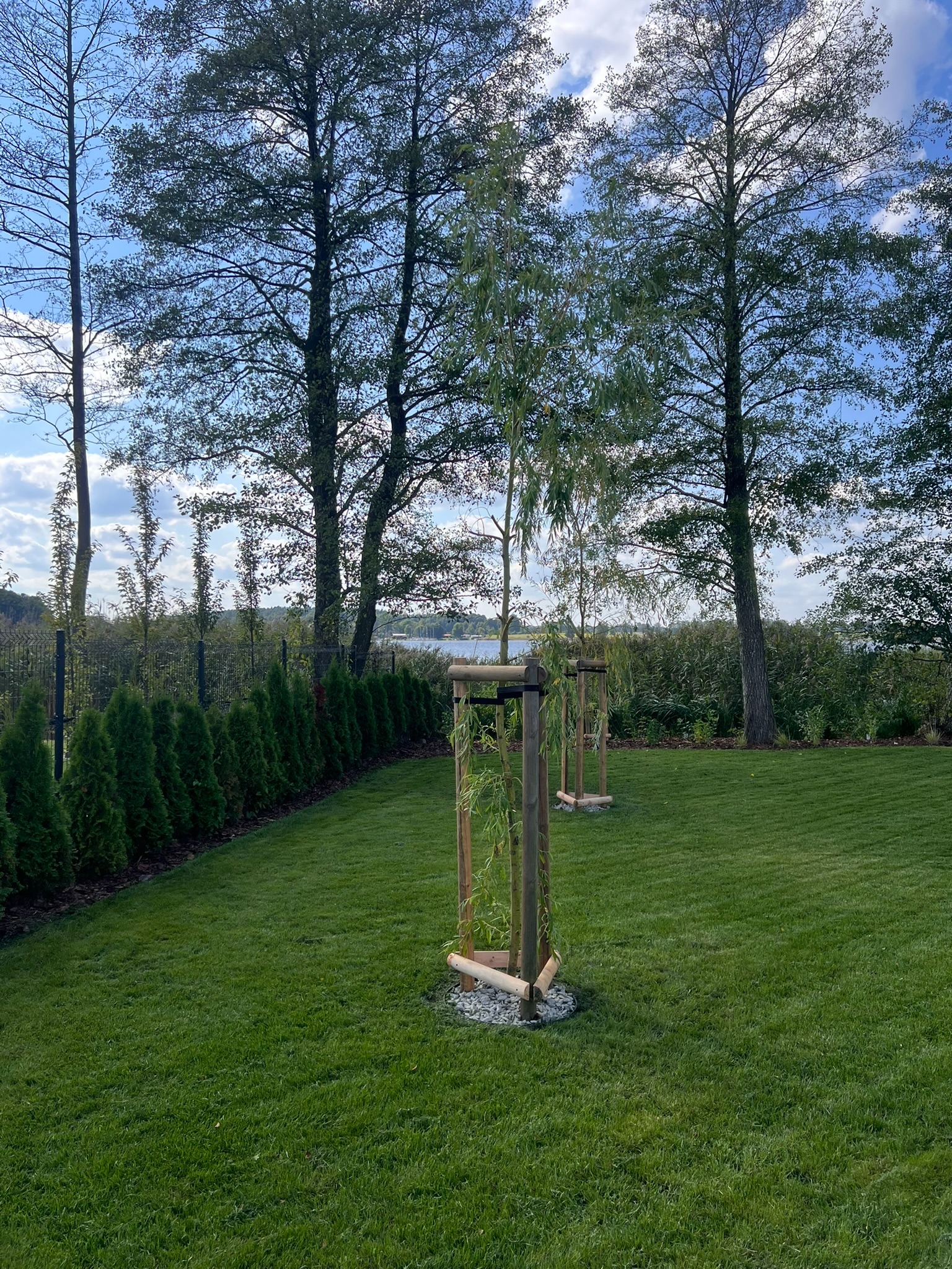 Zadbany trawnik z młodymi drzewkami podpartymi drewnianymi konstrukcjami. W tle rząd tuj i widok na jezioro. Słoneczny dzień.