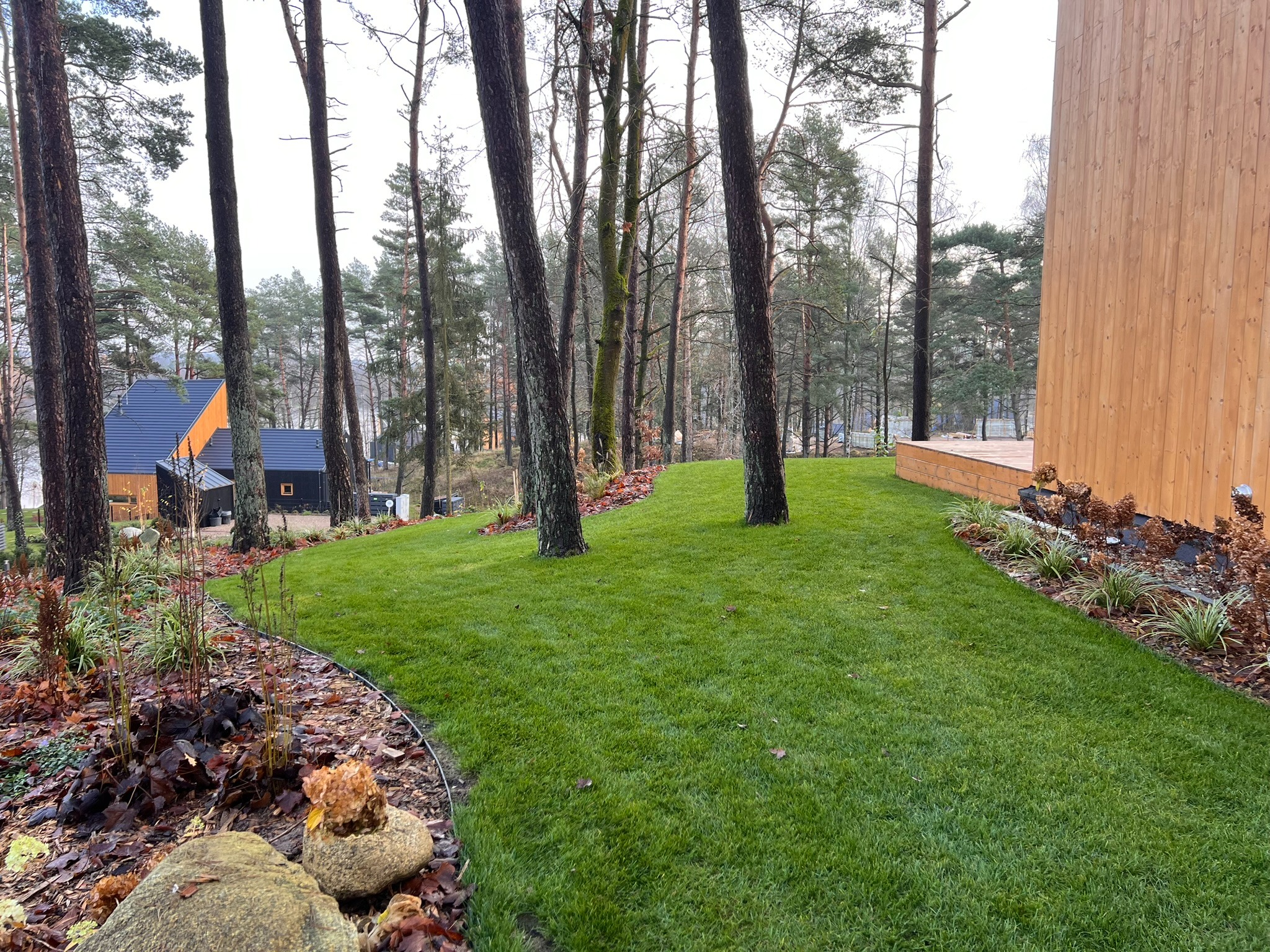 Świeżo założony trawnik z rolki, otoczony drzewami i rabatami z korą, tworzący malowniczy krajobraz przy nowoczesnym domu z drewnianą elewacją.