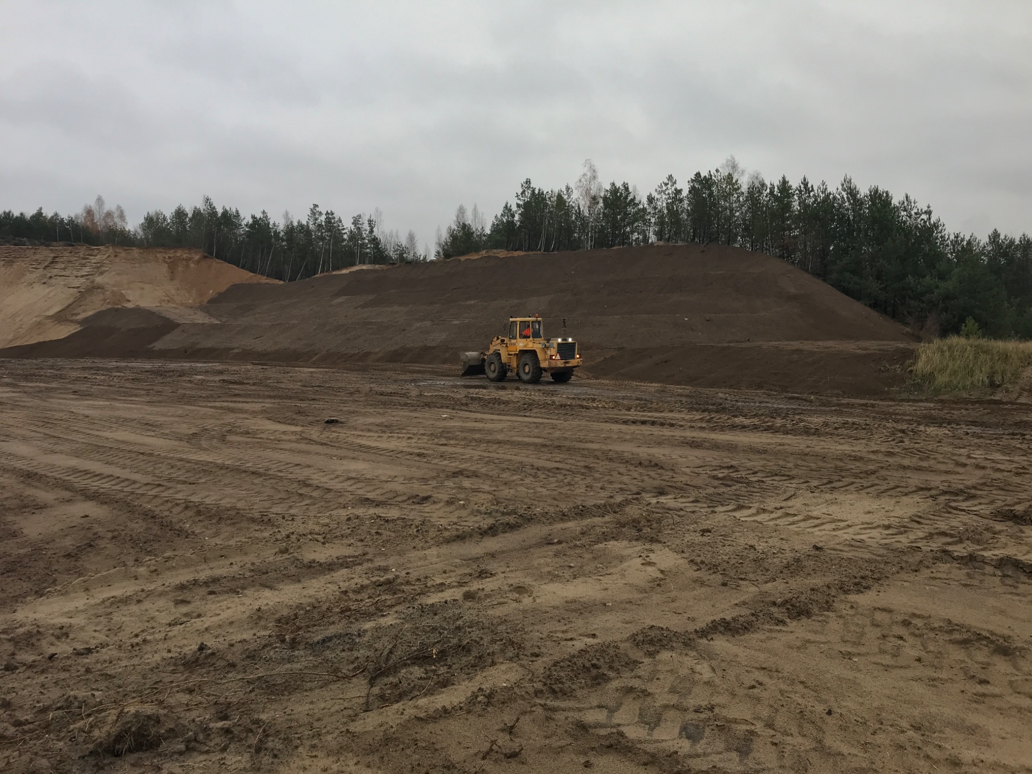 Żółta ładowarka kołowa Volvo na placu budowy z usypanymi hałdami ziemi i lasem w tle, pochmurne niebo.