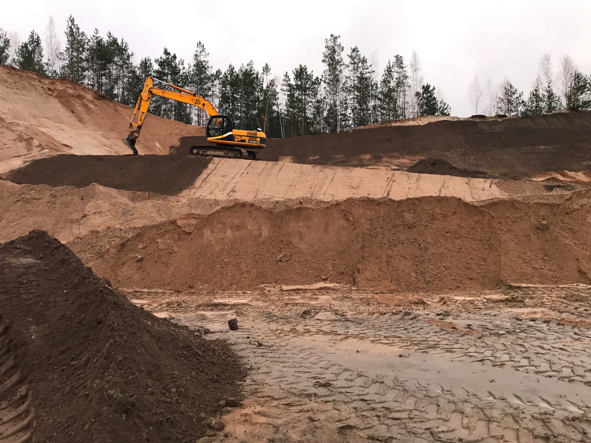 Żółta koparka JCB na tle piaszczystego wzgórza z drzewami, wyrównująca teren, widoczne ślady opon i błoto.