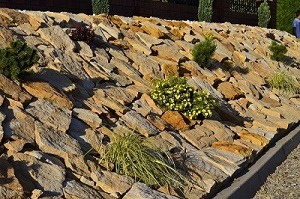 Skarpa umocniona płaskimi kamieniami w odcieniach beżu i brązu, obsadzona niską zielenią ozdobną, obrzeże wykończone szarym krawężnikiem, w tle ciemne tuje.