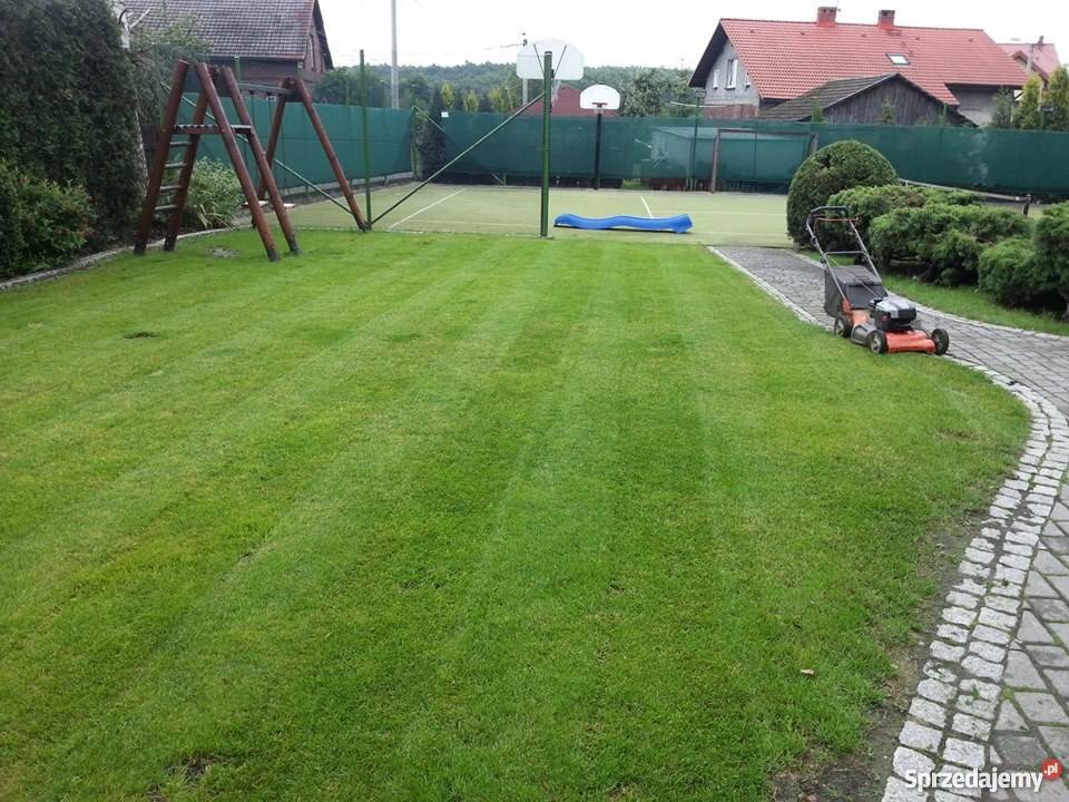 Świeżo skoszony trawnik z widocznymi pasami, kosiarka spalinowa na obrzeżu trawnika, plac zabaw w tle.
