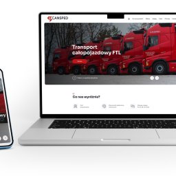 Tworzenie stron internetowych Skoczów 1