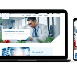 Tworzenie stron internetowych Skoczów 2