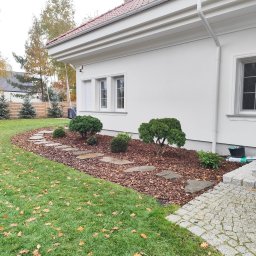 Lendar - Aranżacja ogrodu z ścieżką z kamieni, korą i niskimi krzewami przy białym domu z czerwoną dachówką. Jesienne liście na trawniku.