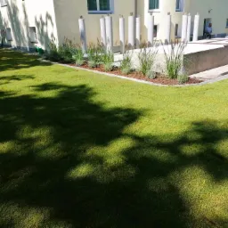 Świeżo założony trawnik z rolki, obrzeża z kory i ozdobne trawy przy budynku z białymi kolumnami.