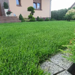 Perfekcyjnie utrzymany trawnik przed domem z ozdobnymi roślinami w donicach i równo przyciętymi krzewami.