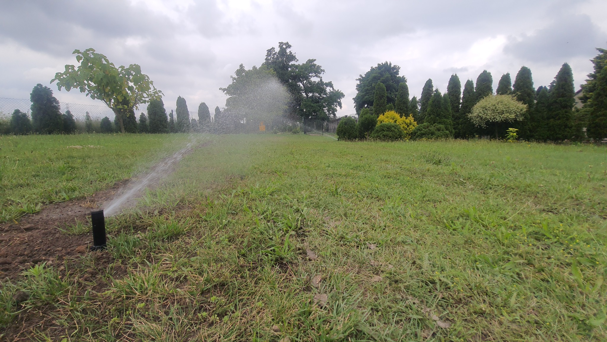 Automatyczny zraszacz nawadnia trawnik na tle drzew i pochmurnego nieba.