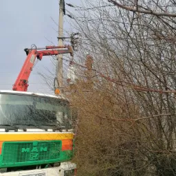 Ciężarówka MAN z podnośnikiem koszowym przy słupie energetycznym, częściowo zasłonięta przez gałęzie drzew, z widoczną osobą w koszu.