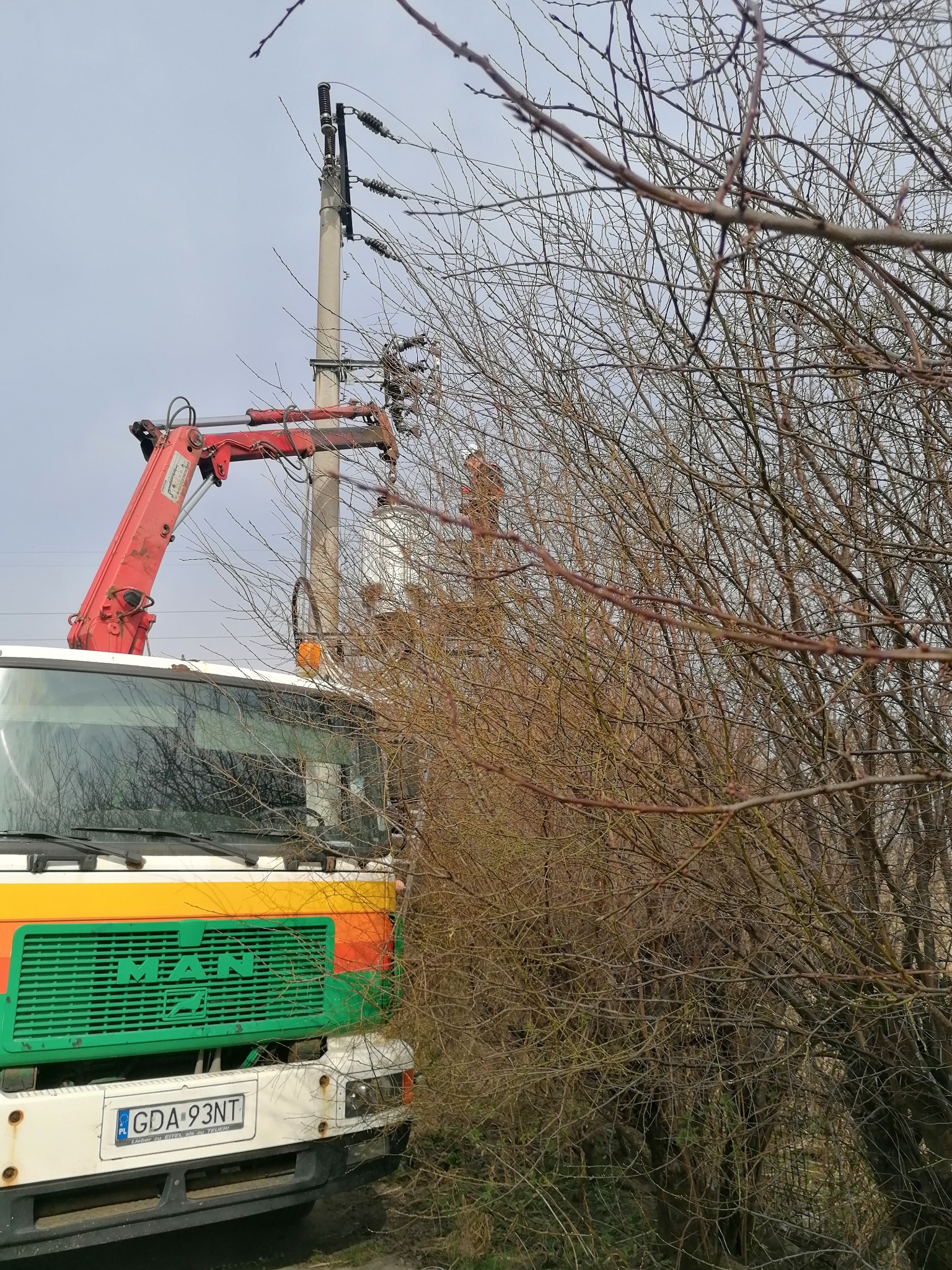 Ciężarówka MAN z podnośnikiem koszowym przy słupie energetycznym, częściowo zasłonięta przez gałęzie drzew, z widoczną osobą w koszu.