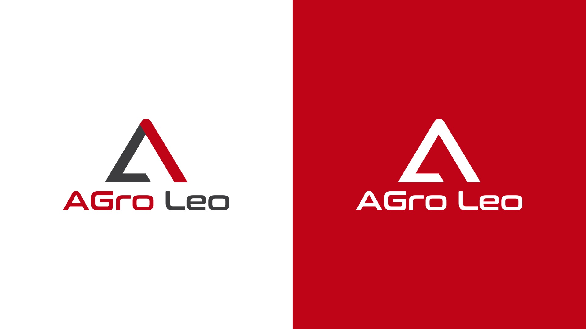 Przykładowy projekt logo naszego autorstwa - 1