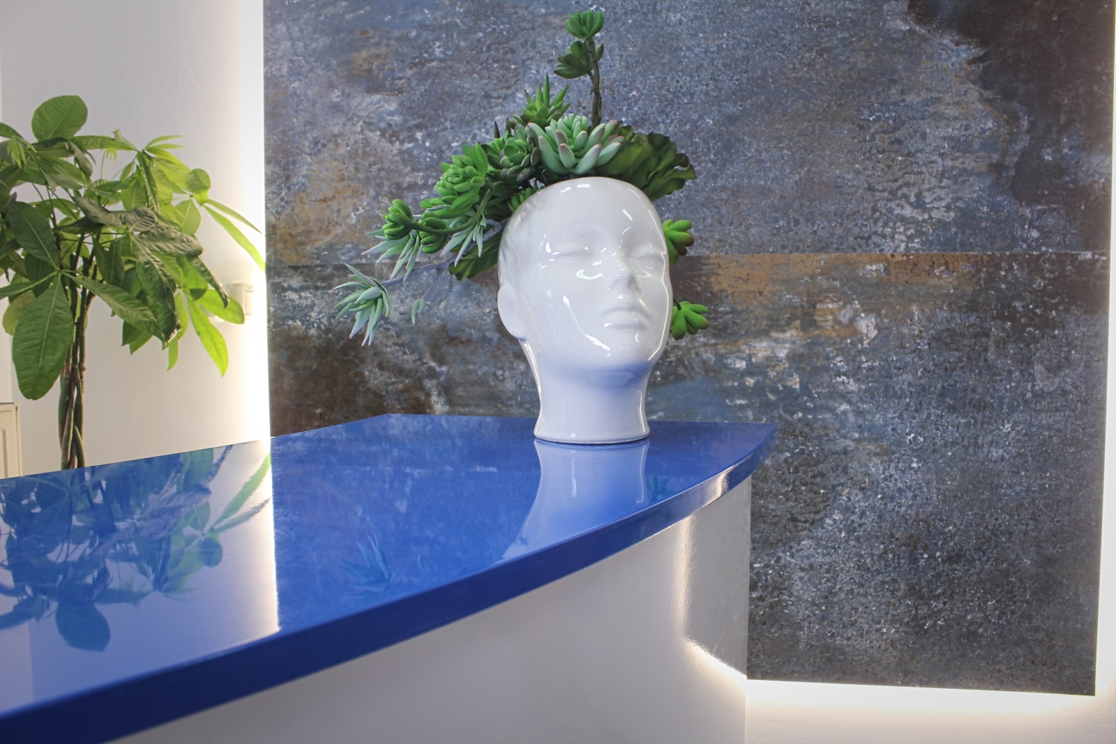 Recepcja z niebieskim blatem, białą bazą i ceramiczną głową jako wazonem na sukulenty, na tle ściany z efektem betonu.