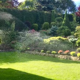 Projektowanie ogrodów Zabierzów 1