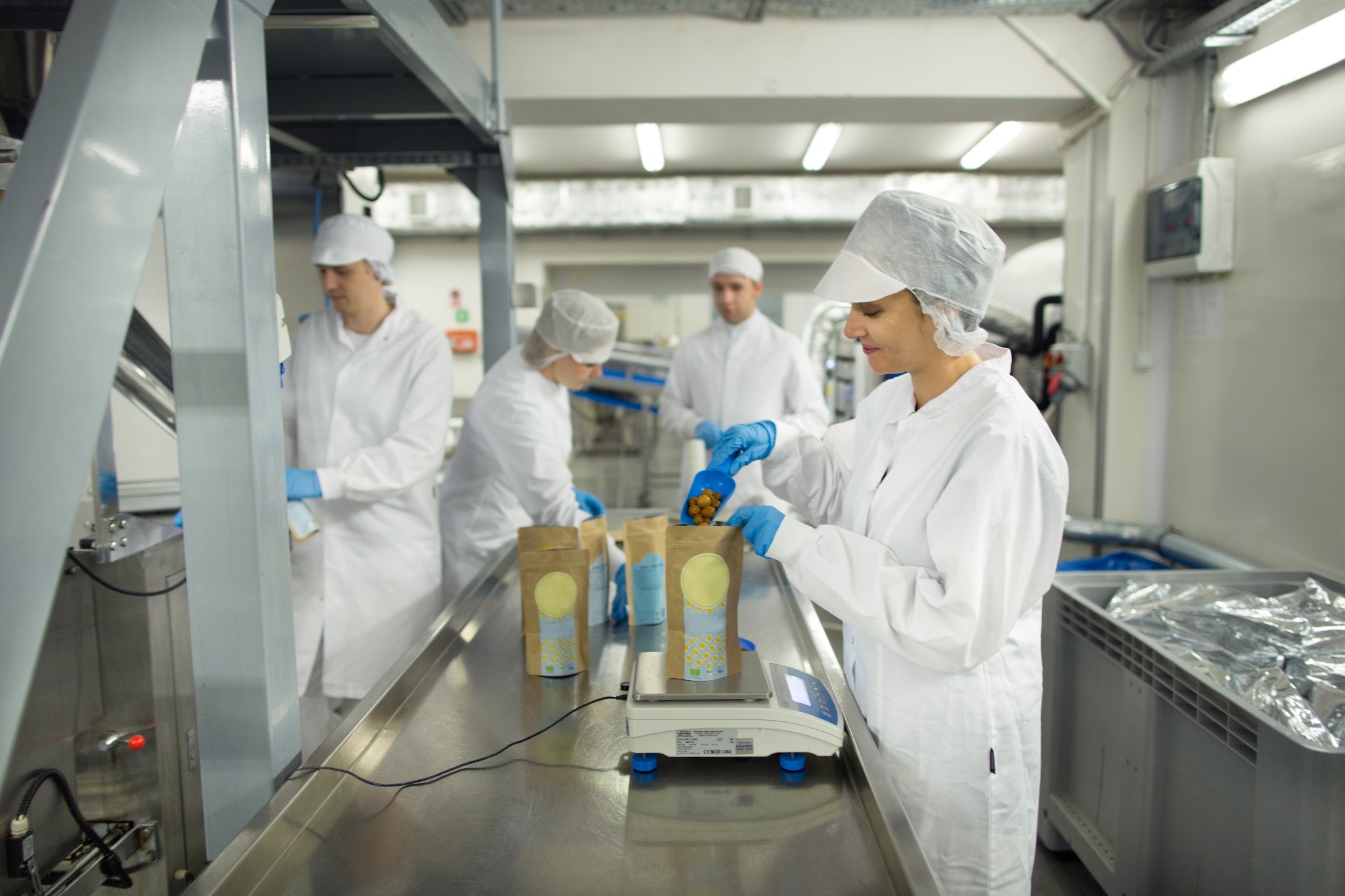Pracownicy w sterylnych strojach na linii produkcyjnej, napełniają brązowe papierowe torebki produktem spożywczym, ważąc je na elektronicznej wadze.