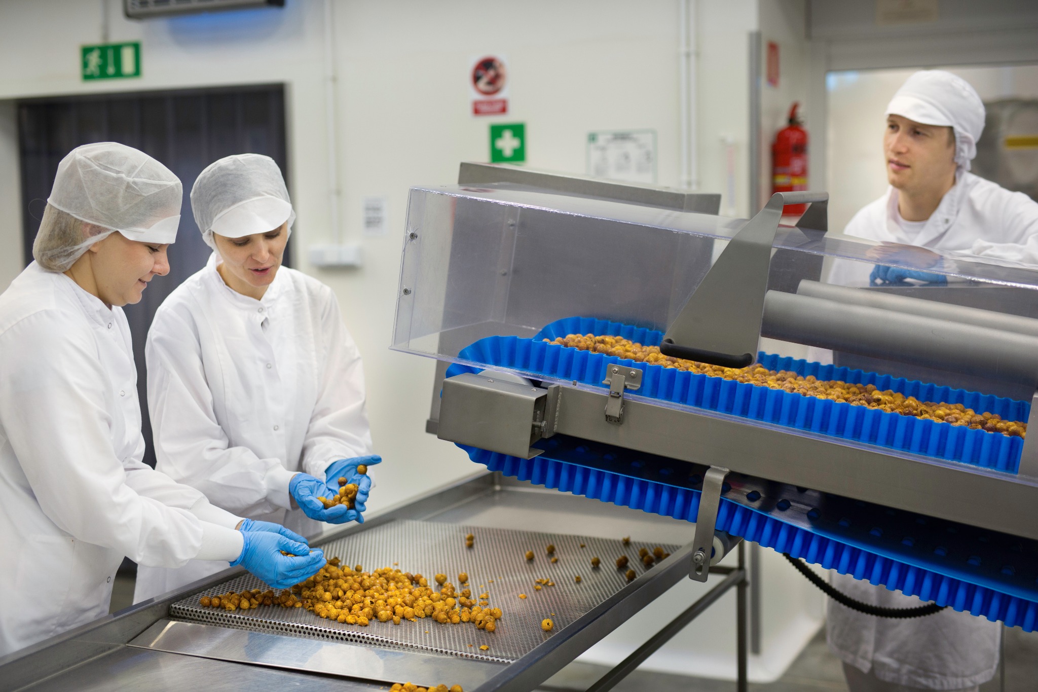 Pracownicy w sterylnych uniformach i niebieskich rękawiczkach kontrolują i sortują prażone orzechy na linii produkcyjnej z niebieskimi elementami transportującymi.