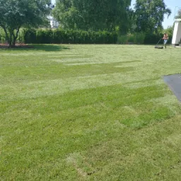 Mężczyzna bez koszulki używa walca do trawy na rozległym, zielonym trawniku z widocznymi pasami, otoczonym drzewami i żywopłotem, w tle dom.
