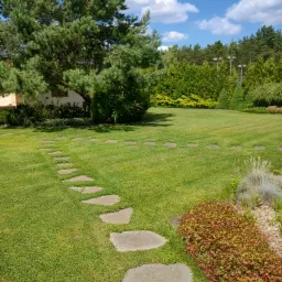 Utrzymany trawnik z kamienną ścieżką wiodącą przez ogród; w tle drzewa iglaste i liściaste pod błękitnym niebem.