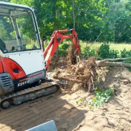 Mała koparka Kubota KX41-3V, z pomarańczowym ramieniem i białym korpusem, wyrywa korzenie drzewa z ziemi na tle zielonych drzew i trawy, widoczne ślady gąsienic na piasku.