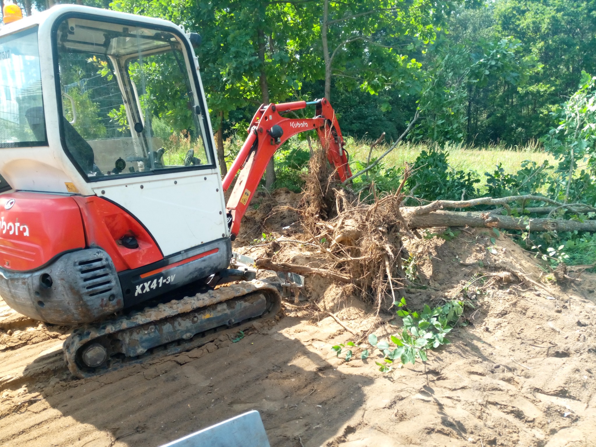 Mała koparka Kubota KX41-3V, z pomarańczowym ramieniem i białym korpusem, wyrywa korzenie drzewa z ziemi na tle zielonych drzew i trawy, widoczne ślady gąsienic na piasku.