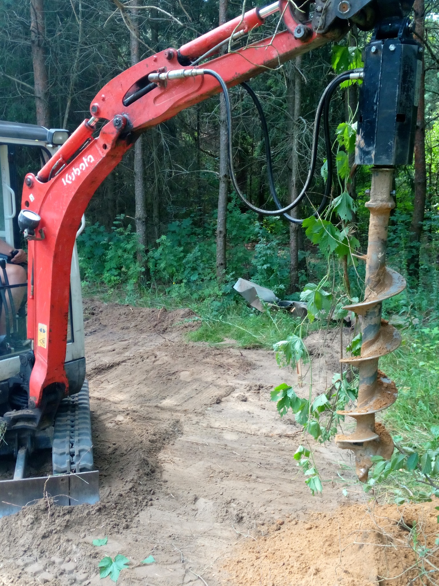 Czerwony minikoparka Kubota z wiertnicą świdrową w trakcie pracy na piaszczystym terenie, w tle widoczny las iglasty, z ziemi wystają pnącza.