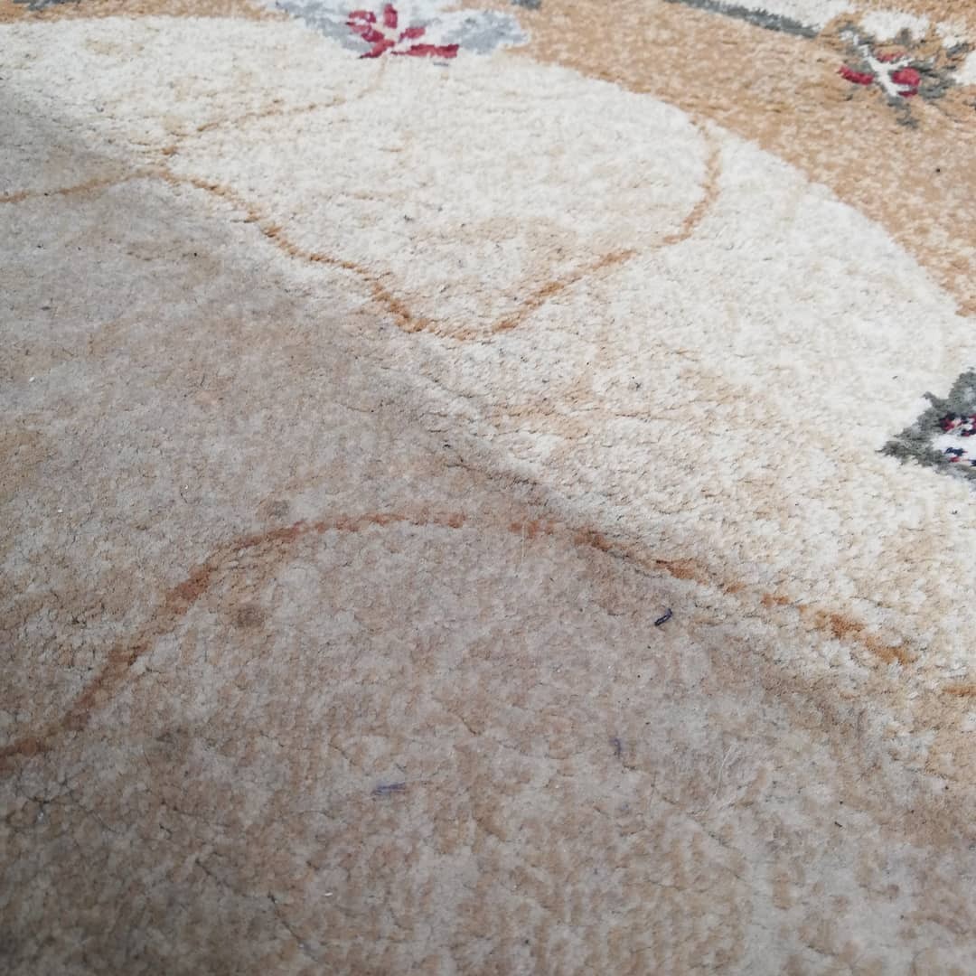 Beżowy dywan z wzorem kwiatowym, widoczne zabrudzenia w postaci plam w dolnej części kadru.