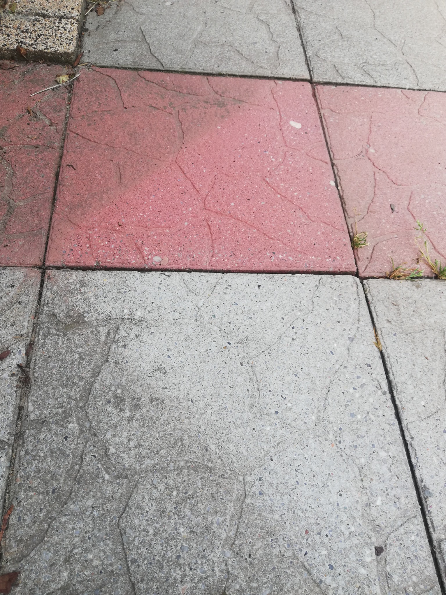 Ułożone obok siebie szare i czerwone betonowe płyty chodnikowe z widocznymi spoinami i drobnymi roślinami wyrastającymi spomiędzy nich.