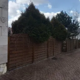 Formowane tuje nad drewnianym płotem z dekoracyjnymi panelami, widok z brukowanej ścieżki, pochmurne niebo w tle.