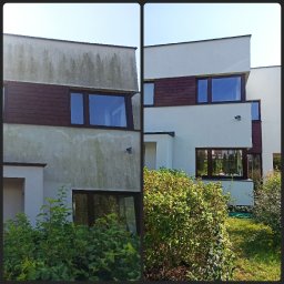 Odgrzybianie elewacji