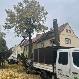 Pielęgnacja ogrodów Kamienna Góra 1