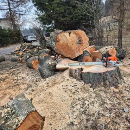 Pielęgnacja ogrodów Kamienna Góra 4