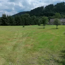 Rozległy trawnik z wzorem po koszeniu, drzewa iglaste w tle, dom z szarym dachem i las na wzgórzu w oddali.