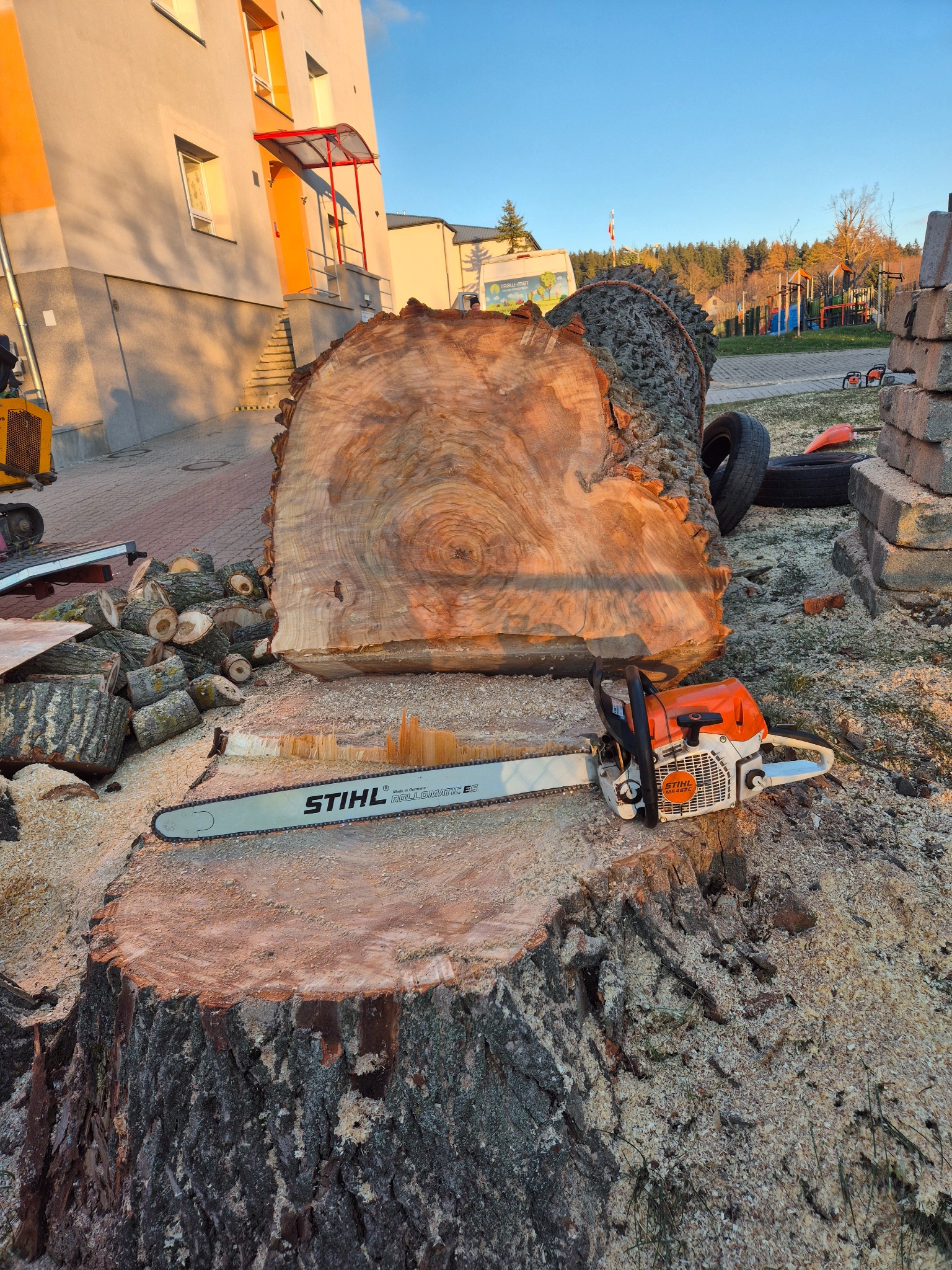 Ścięty pień drzewa z piłą łańcuchową Stihl, obok leżą pocięte kawałki drewna. W tle budynek i plac zabaw. Widoczne ślady po wycince.