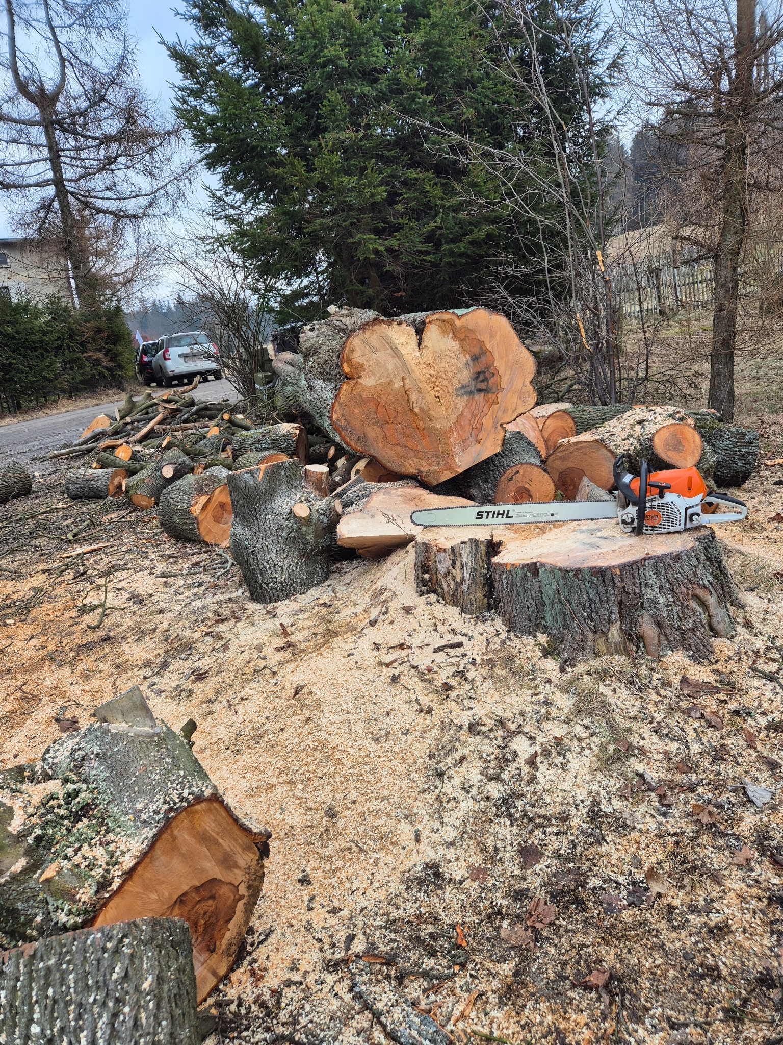 Ścięte pnie i gałęzie drzewa z piłą Stihl na pniu, w tle droga i samochód. Widoczne świeże trociny po wycince. Praca wykonana w pochmurny dzień.