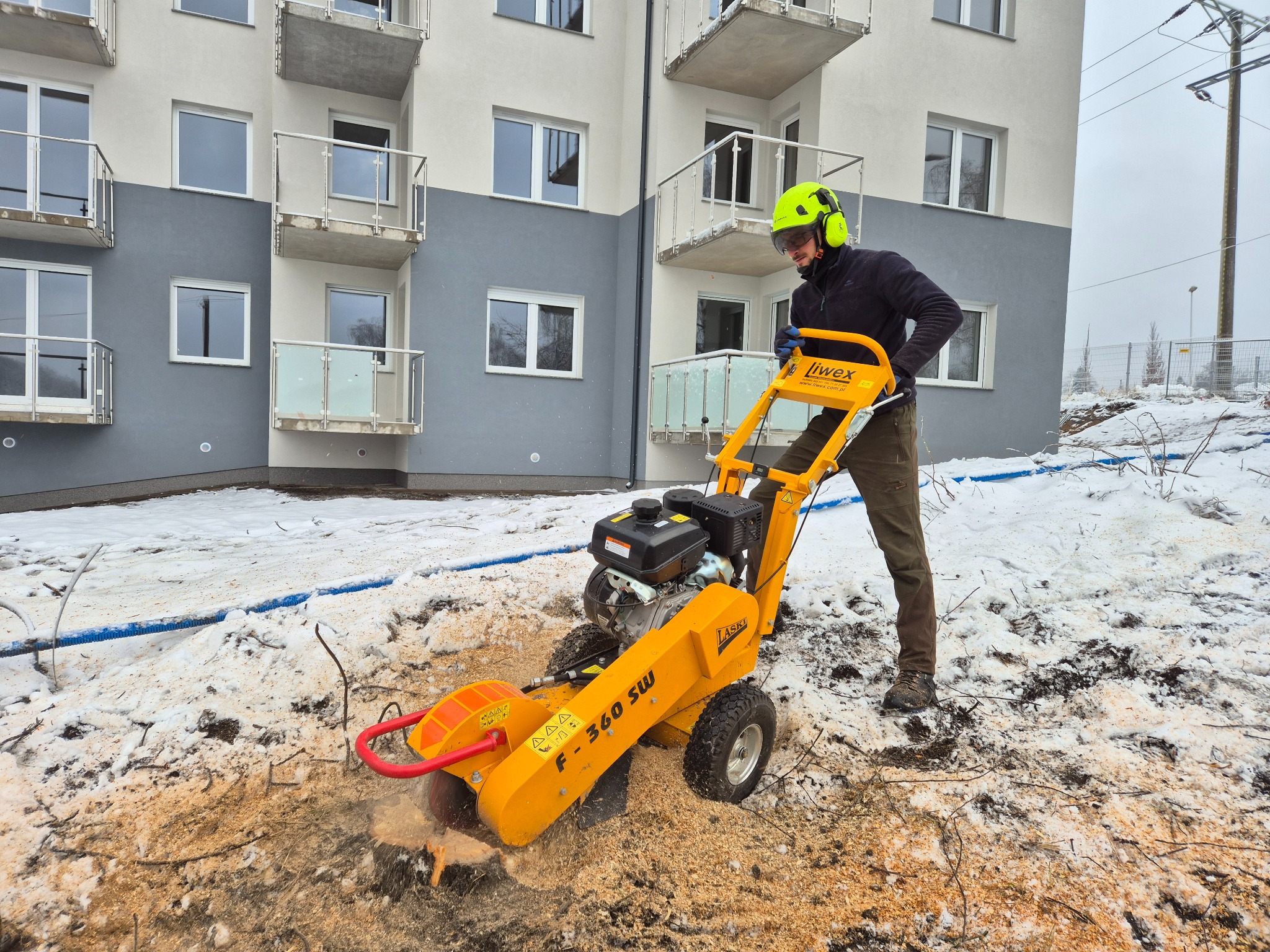 Pracownik w kasku obsługuje frezarkę do pni drzew na tle budynku. Wokół leżą wióry i resztki po wycince. Żółta maszyna Liwex F-360 SW w akcji.