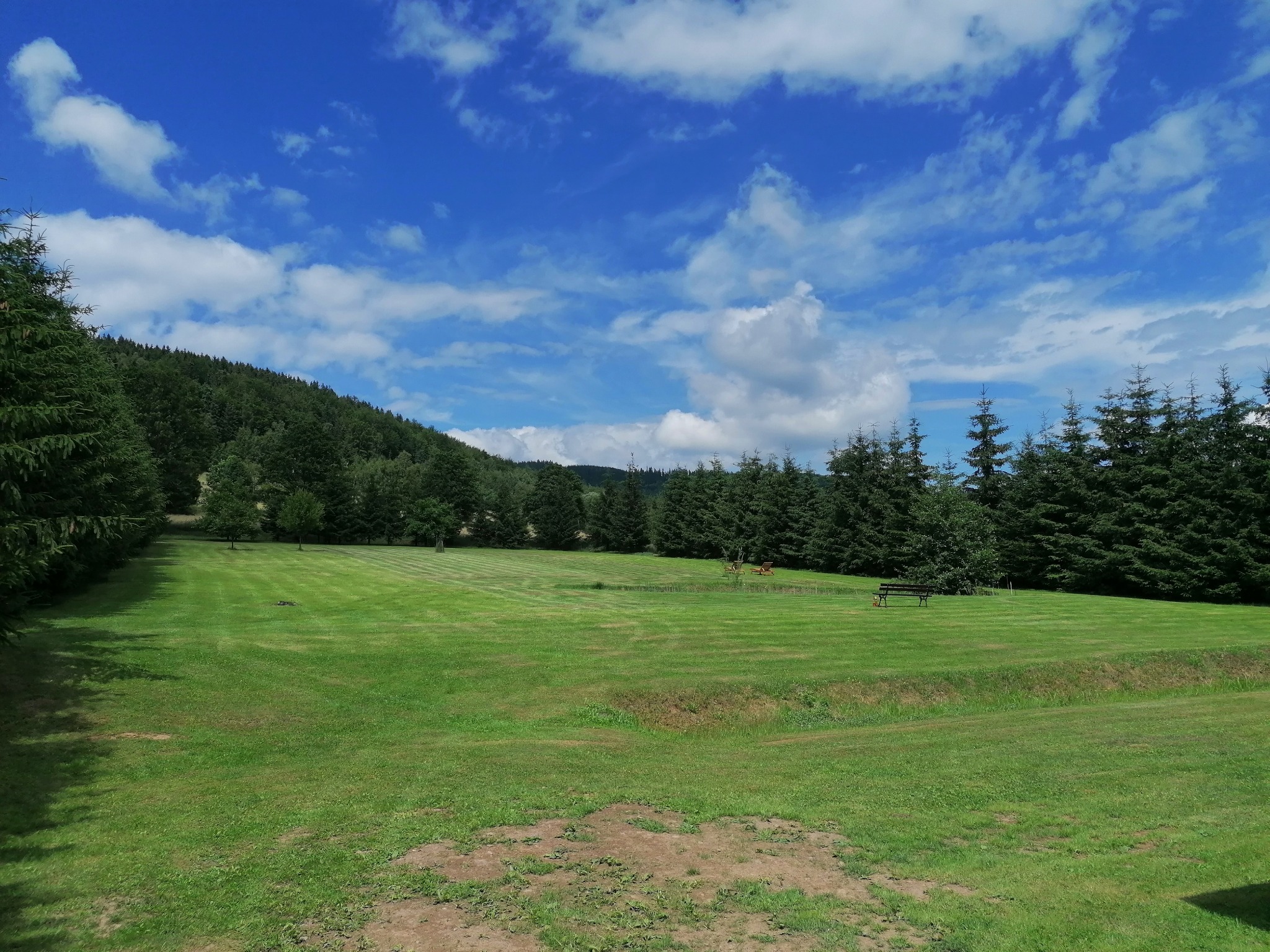 Rozległy trawnik z równo skoszoną trawą w pasy, otoczony drzewami iglastymi i liściastymi, z widocznym wzgórzem w tle pod błękitnym niebem z chmurami.