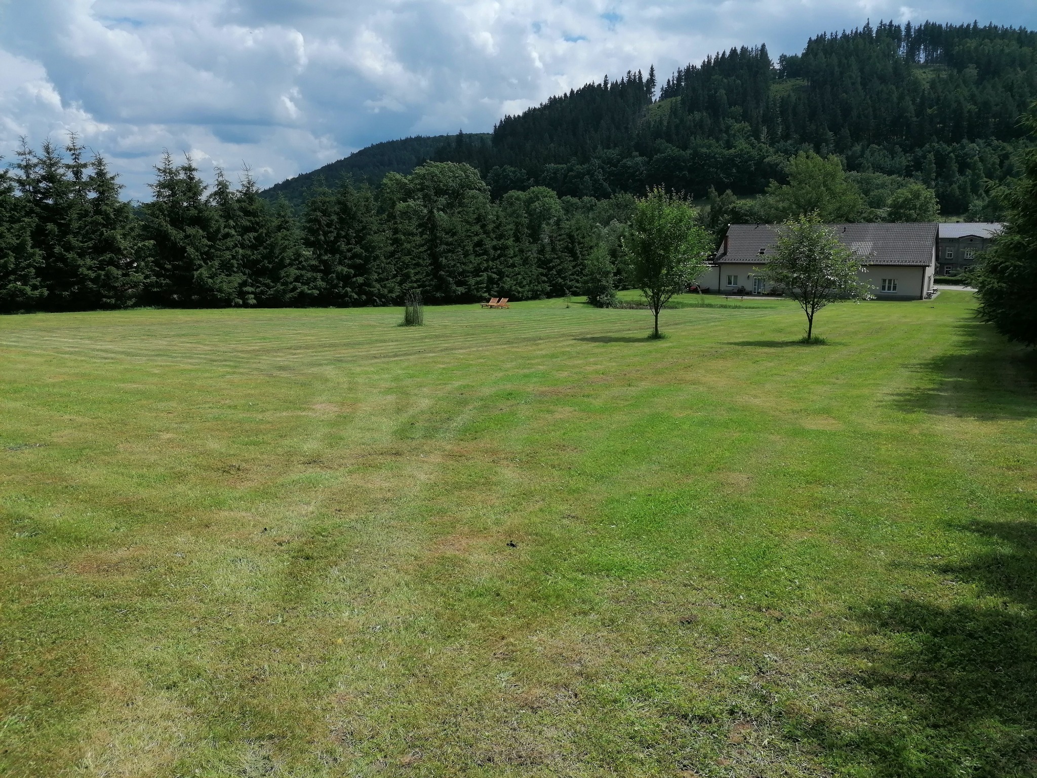 Rozległy trawnik z wzorem po koszeniu, drzewa iglaste w tle, dom z szarym dachem i las na wzgórzu w oddali.