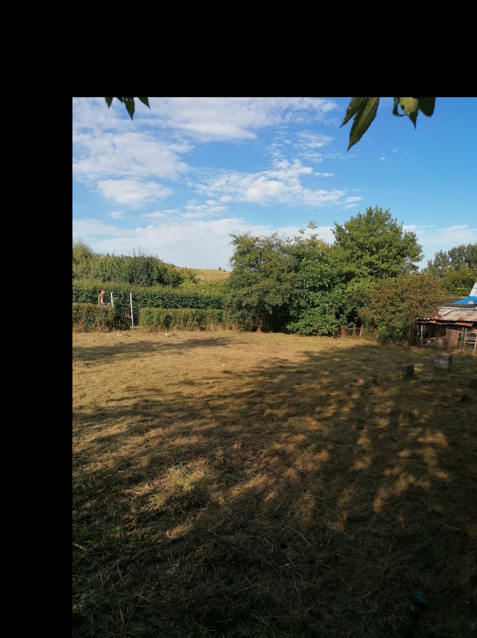 Rozległy trawnik z widocznymi śladami po koszeniu, w tle żywopłot przycinany przez ogrodnika stojącego na drabinie, błękitne niebo z chmurami.